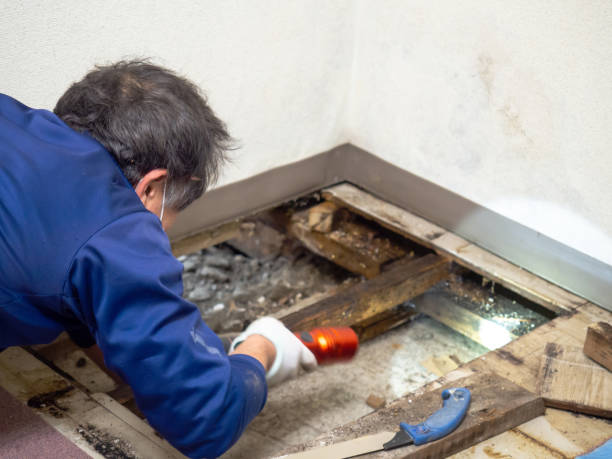 Crawl Space Mold Removal in Taylor Mill, KY